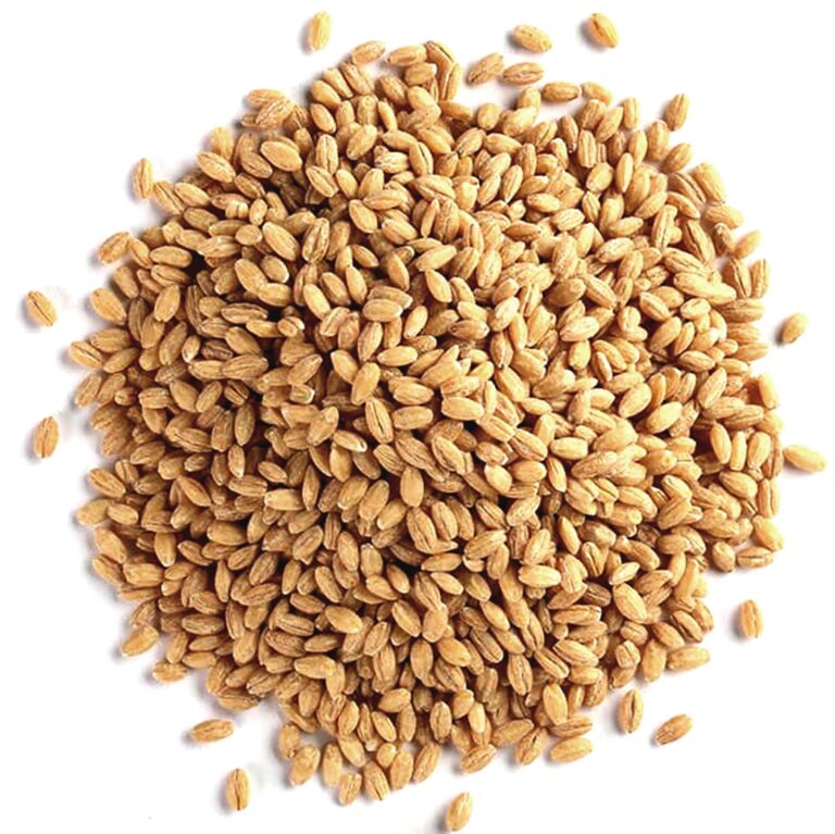 pearl-barley2